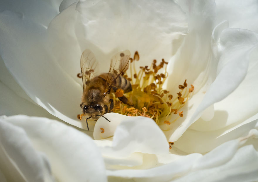 I Created A ‘Photographer’s Garden’ In My Backyard Because My Life Was Too Busy For Travel I Created A ‘Photographer’s Garden’ In My Backyard Because My Life Was Too Busy For Travel
