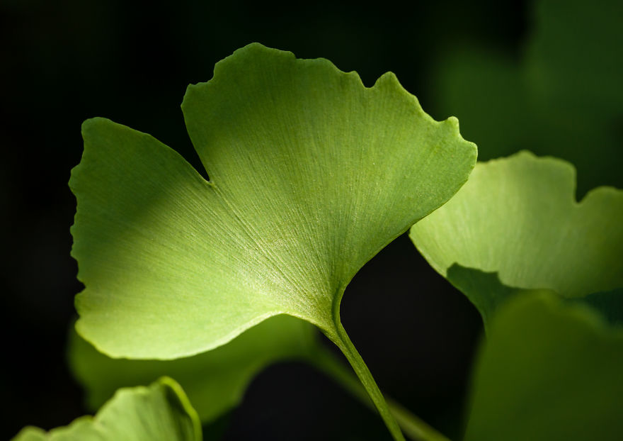 I Created A ‘Photographer’s Garden’ In My Backyard Because My Life Was Too Busy For Travel I Created A ‘Photographer’s Garden’ In My Backyard Because My Life Was Too Busy For Travel
