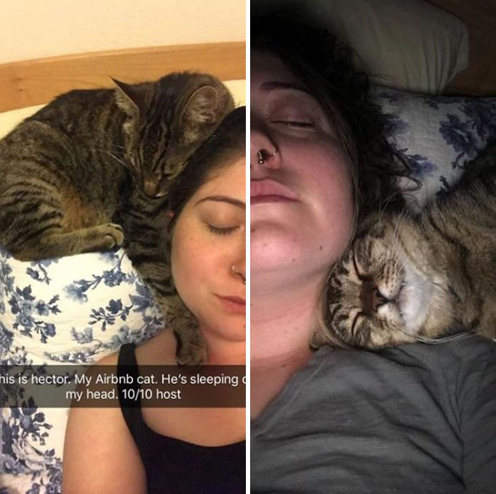 30 Times People Got More Than They Paid For In Their Airbnb Apartments And Met The Cutest Animals 30 Times People Got More Than They Paid For In Their Airbnb Apartments And Met The Cutest Animals