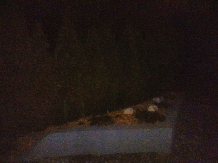 Neighbors Kept Running Over This Family’s Fence, So Dad Replaces It With Concrete And Wrecks 8 Of Their Cars Neighbors Kept Running Over This Family’s Fence, So Dad Replaces It With Concrete And Wrecks 8 Of Their Cars