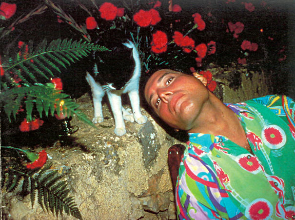 20 Pics Of Freddie Mercury And His Cats, That He Loved And Treated Like His Own Children 20 Pics Of Freddie Mercury And His Cats, That He Loved And Treated Like His Own Children