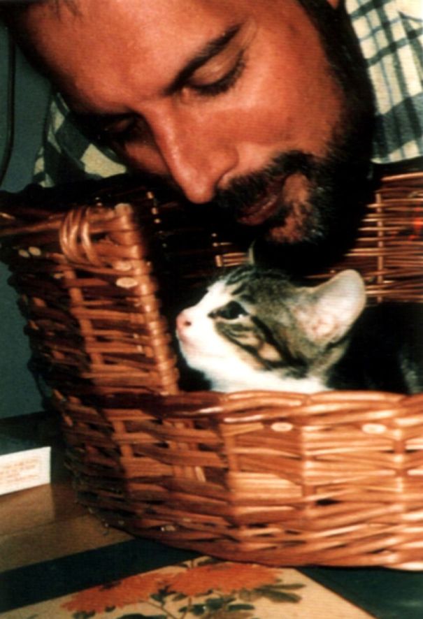 20 Pics Of Freddie Mercury And His Cats, That He Loved And Treated Like His Own Children 20 Pics Of Freddie Mercury And His Cats, That He Loved And Treated Like His Own Children