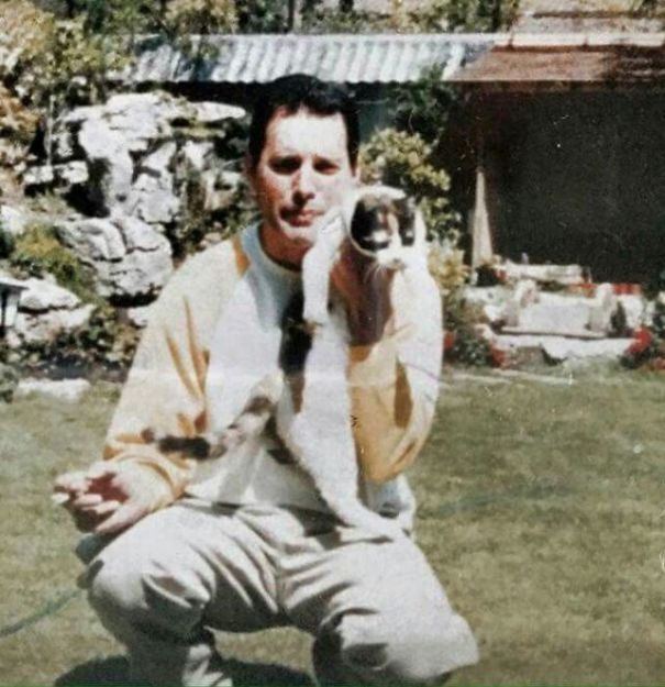 20 Pics Of Freddie Mercury And His Cats, That He Loved And Treated Like His Own Children 20 Pics Of Freddie Mercury And His Cats, That He Loved And Treated Like His Own Children
