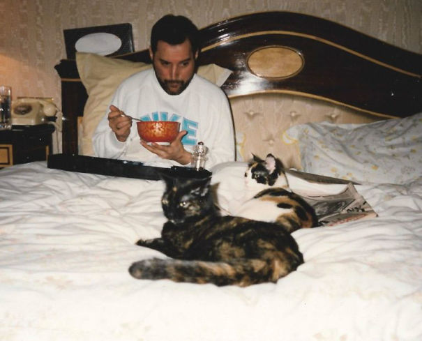 20 Pics Of Freddie Mercury And His Cats, That He Loved And Treated Like His Own Children 20 Pics Of Freddie Mercury And His Cats, That He Loved And Treated Like His Own Children