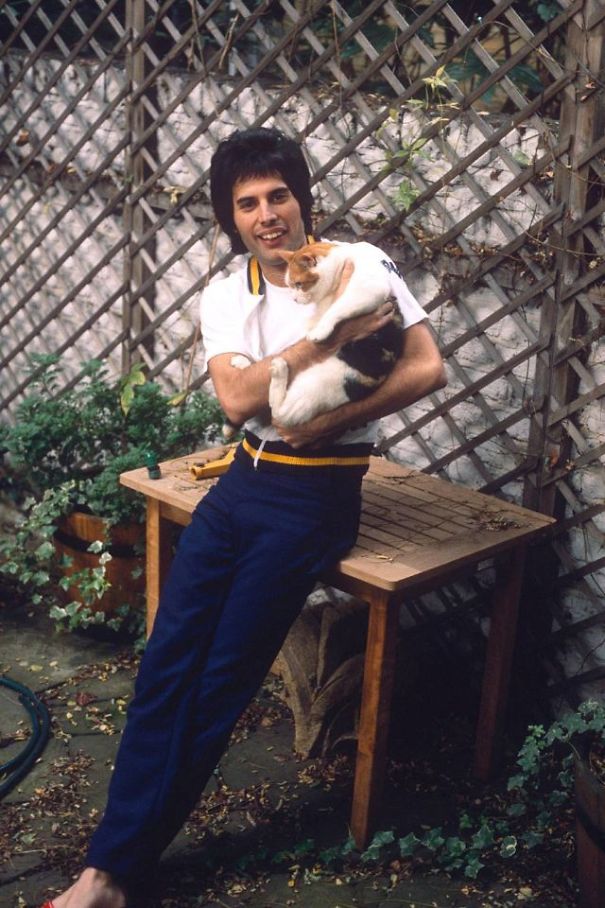 20 Pics Of Freddie Mercury And His Cats, That He Loved And Treated Like His Own Children 20 Pics Of Freddie Mercury And His Cats, That He Loved And Treated Like His Own Children