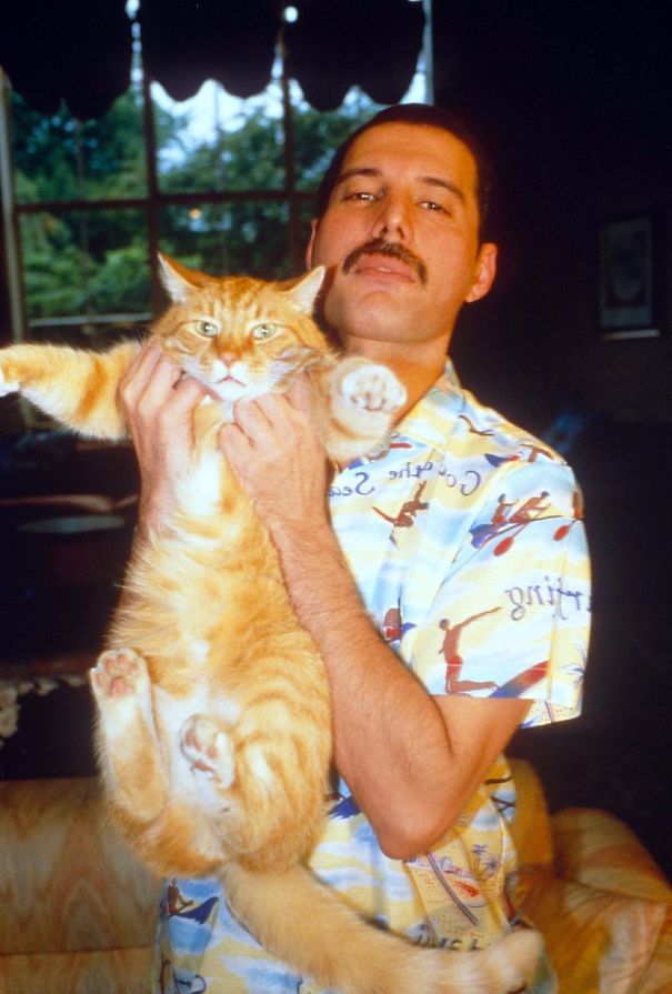 20 Pics Of Freddie Mercury And His Cats, That He Loved And Treated Like His Own Children 20 Pics Of Freddie Mercury And His Cats, That He Loved And Treated Like His Own Children