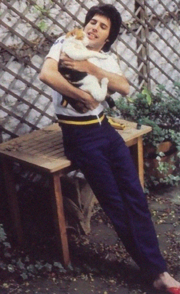 20 Pics Of Freddie Mercury And His Cats, That He Loved And Treated Like His Own Children 20 Pics Of Freddie Mercury And His Cats, That He Loved And Treated Like His Own Children