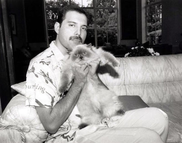 20 Pics Of Freddie Mercury And His Cats, That He Loved And Treated Like His Own Children 20 Pics Of Freddie Mercury And His Cats, That He Loved And Treated Like His Own Children