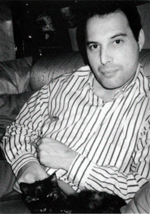 20 Pics Of Freddie Mercury And His Cats, That He Loved And Treated Like His Own Children 20 Pics Of Freddie Mercury And His Cats, That He Loved And Treated Like His Own Children