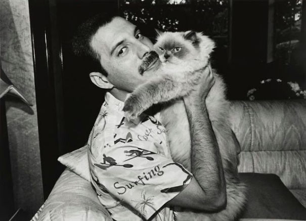20 Pics Of Freddie Mercury And His Cats, That He Loved And Treated Like His Own Children 20 Pics Of Freddie Mercury And His Cats, That He Loved And Treated Like His Own Children