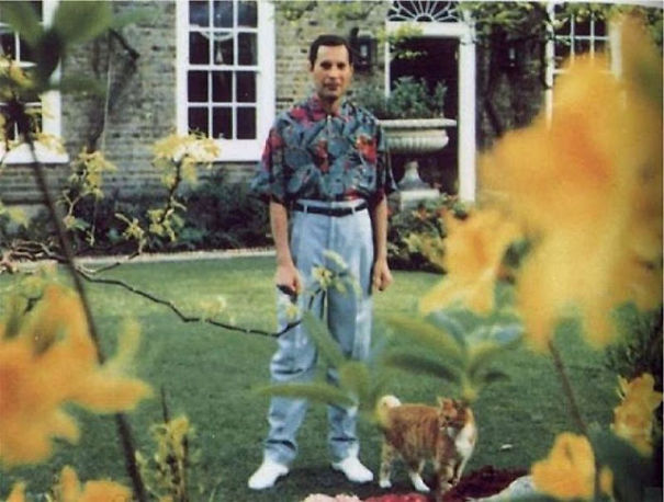 20 Pics Of Freddie Mercury And His Cats, That He Loved And Treated Like His Own Children 20 Pics Of Freddie Mercury And His Cats, That He Loved And Treated Like His Own Children