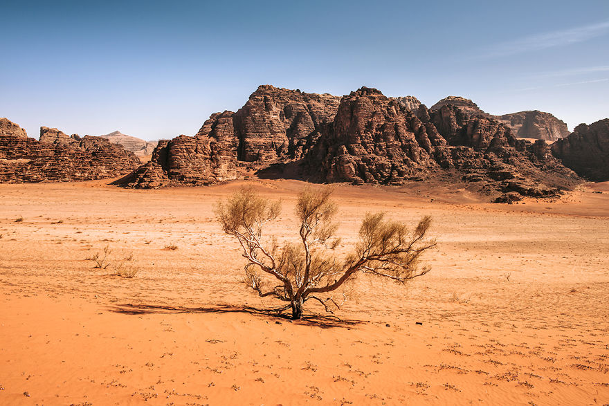 My Friend And I Spent 5 Days On Wadi Rum Desert Wild Camping And Capturing How The Earth Turns Into Mars In Marvelous Locations My Friend And I Spent 5 Days On Wadi Rum Desert Wild Camping And Capturing How The Earth Turns Into Mars In Marvelous Locations