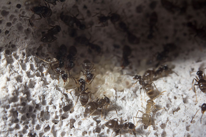 30 People Expose The Dumbest Things Their Significant Other Has Said Or Done 30 People Expose The Dumbest Things Their Significant Other Has Said Or Done