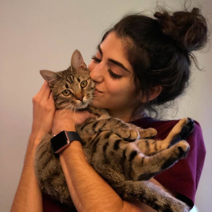 Cat Removes Wooden Bar To Let Her Owner Back Inside After She Locks Herself Out Cat Removes Wooden Bar To Let Her Owner Back Inside After She Locks Herself Out