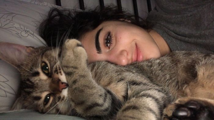 Cat Removes Wooden Bar To Let Her Owner Back Inside After She Locks Herself Out Cat Removes Wooden Bar To Let Her Owner Back Inside After She Locks Herself Out