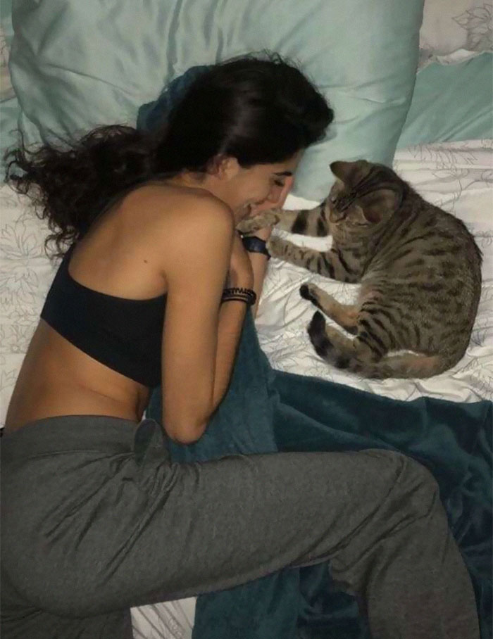 Cat Removes Wooden Bar To Let Her Owner Back Inside After She Locks Herself Out Cat Removes Wooden Bar To Let Her Owner Back Inside After She Locks Herself Out