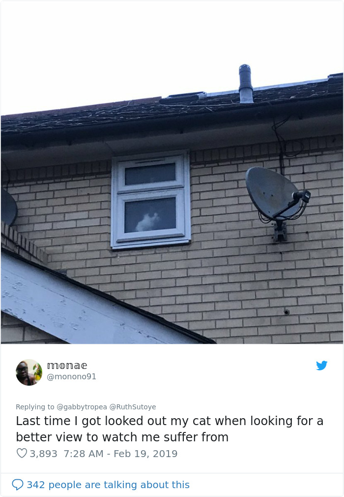 Cat Removes Wooden Bar To Let Her Owner Back Inside After She Locks Herself Out Cat Removes Wooden Bar To Let Her Owner Back Inside After She Locks Herself Out