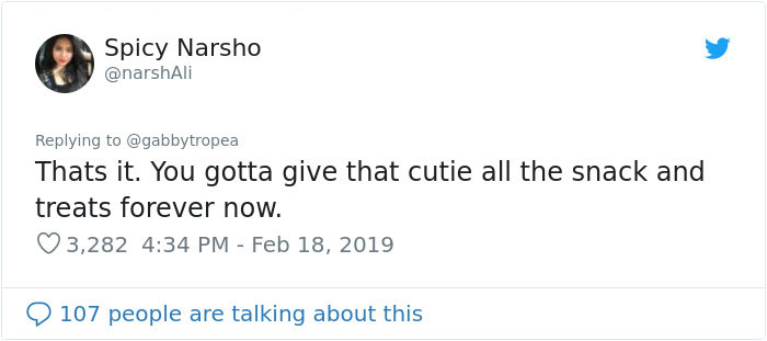 Cat Removes Wooden Bar To Let Her Owner Back Inside After She Locks Herself Out Cat Removes Wooden Bar To Let Her Owner Back Inside After She Locks Herself Out