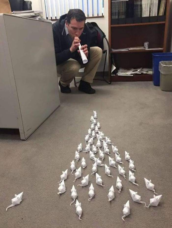 These Funny People Have Reinvented The Meaning Of Being Bored These Funny People Have Reinvented The Meaning Of Being Bored