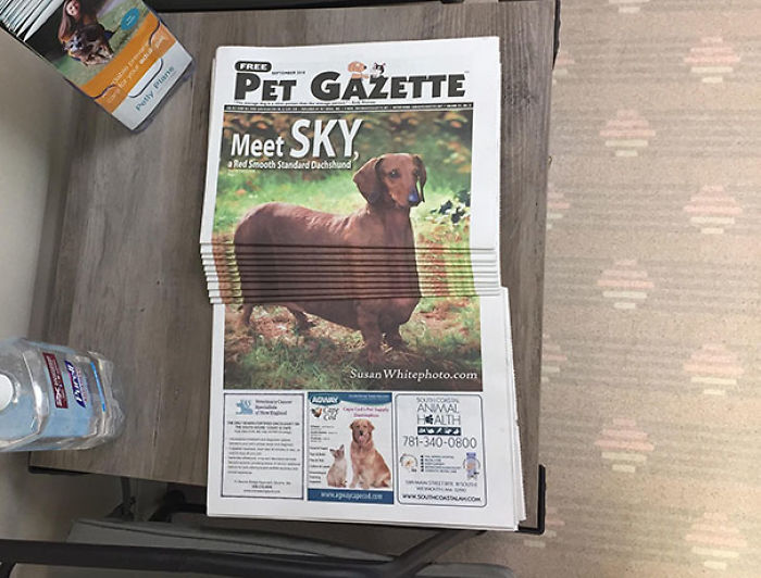 These Funny People Have Reinvented The Meaning Of Being Bored These Funny People Have Reinvented The Meaning Of Being Bored