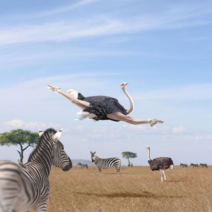 Artist Creates Surreal Images That Balance Between Reality And Imagination (50 Pics)