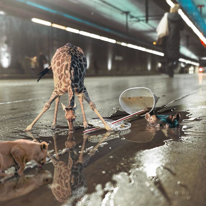 Artist Creates Surreal Images That Balance Between Reality And Imagination (50 Pics)