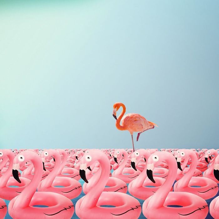 Artist Creates Surreal Images That Balance Between Reality And Imagination (50 Pics)