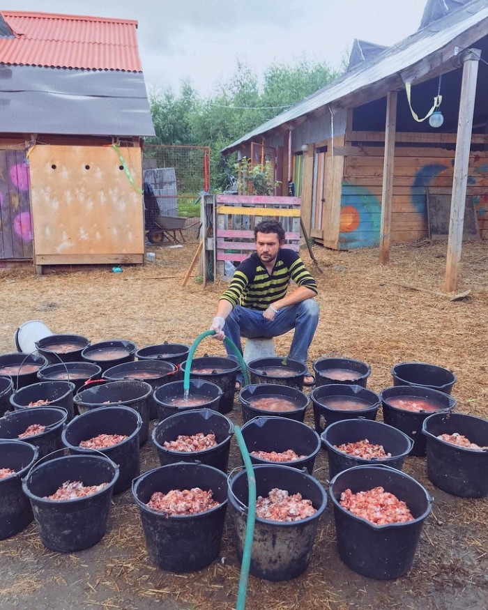 Famous Russian Photographer Ends Her Career To Live In A Forest With 100 Sick Dogs