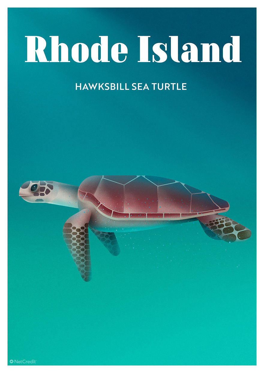 These Nature Posters Show The Most Endangered Species In Each US State These Nature Posters Show The Most Endangered Species In Each US State