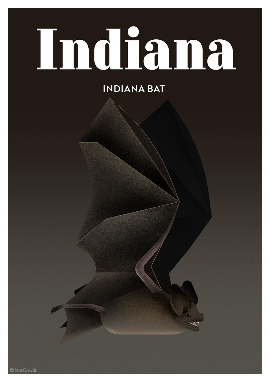 These Nature Posters Show The Most Endangered Species In Each US State These Nature Posters Show The Most Endangered Species In Each US State