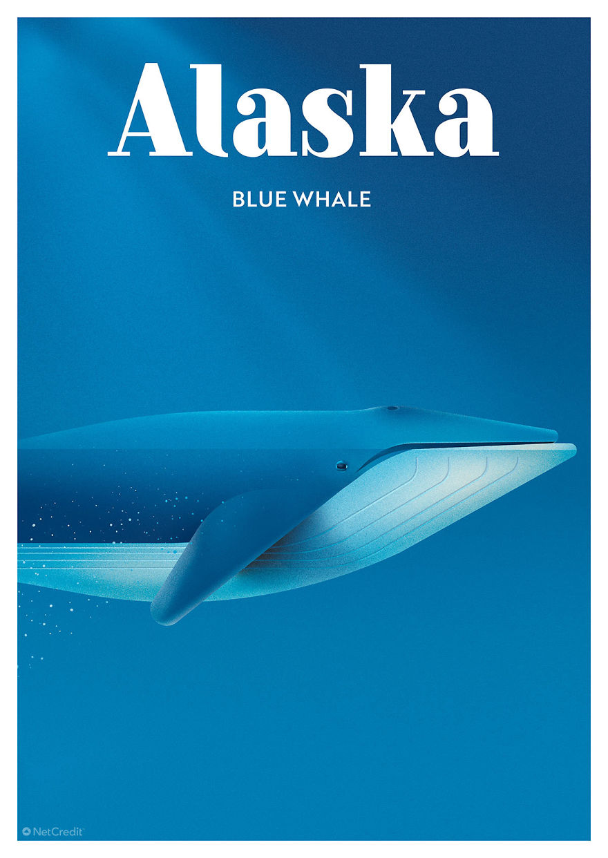 These Nature Posters Show The Most Endangered Species In Each US State These Nature Posters Show The Most Endangered Species In Each US State