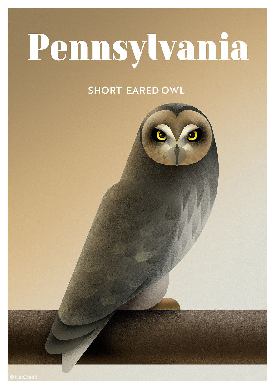 These Nature Posters Show The Most Endangered Species In Each US State These Nature Posters Show The Most Endangered Species In Each US State