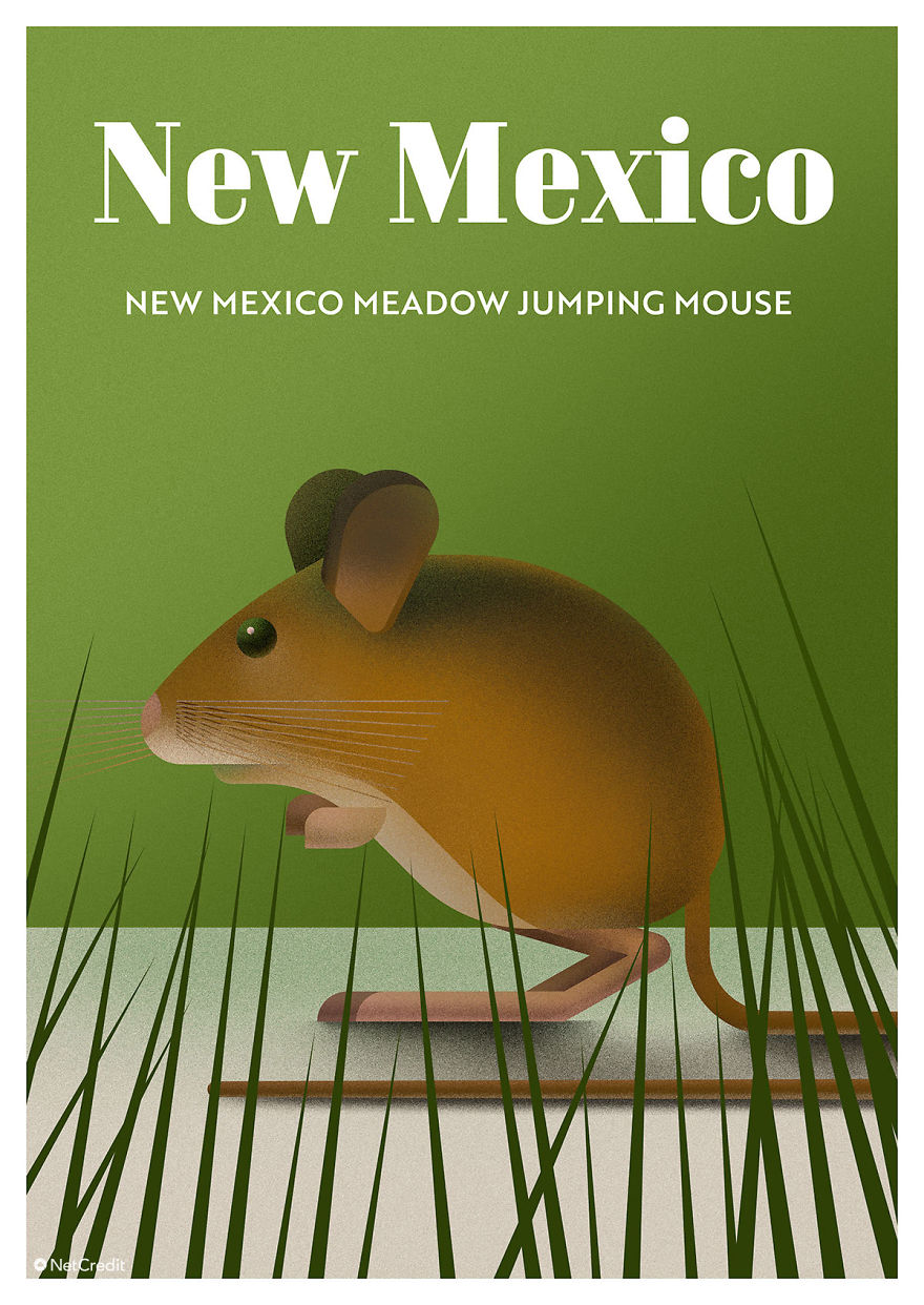 These Nature Posters Show The Most Endangered Species In Each US State These Nature Posters Show The Most Endangered Species In Each US State