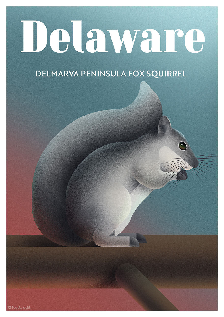 These Nature Posters Show The Most Endangered Species In Each US State These Nature Posters Show The Most Endangered Species In Each US State