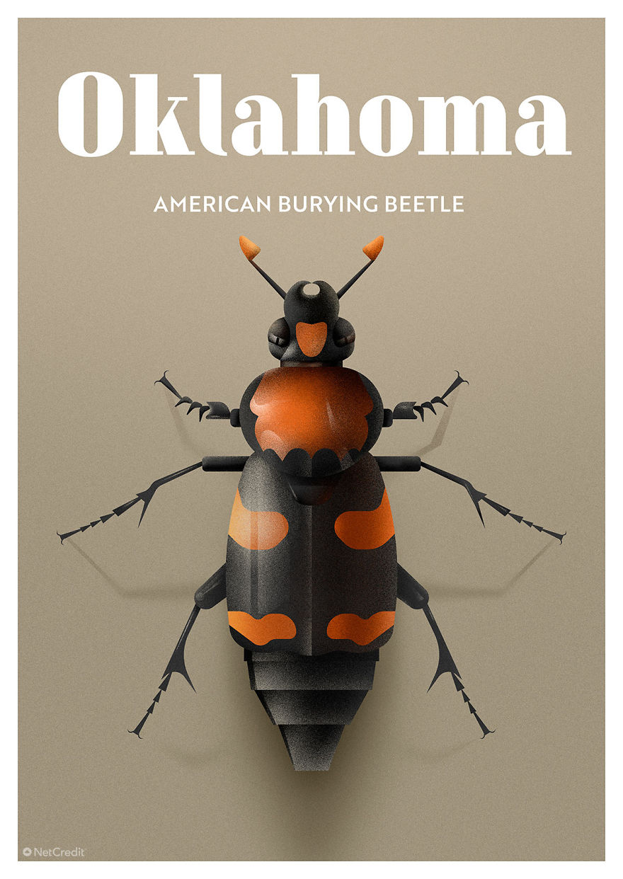 These Nature Posters Show The Most Endangered Species In Each US State These Nature Posters Show The Most Endangered Species In Each US State