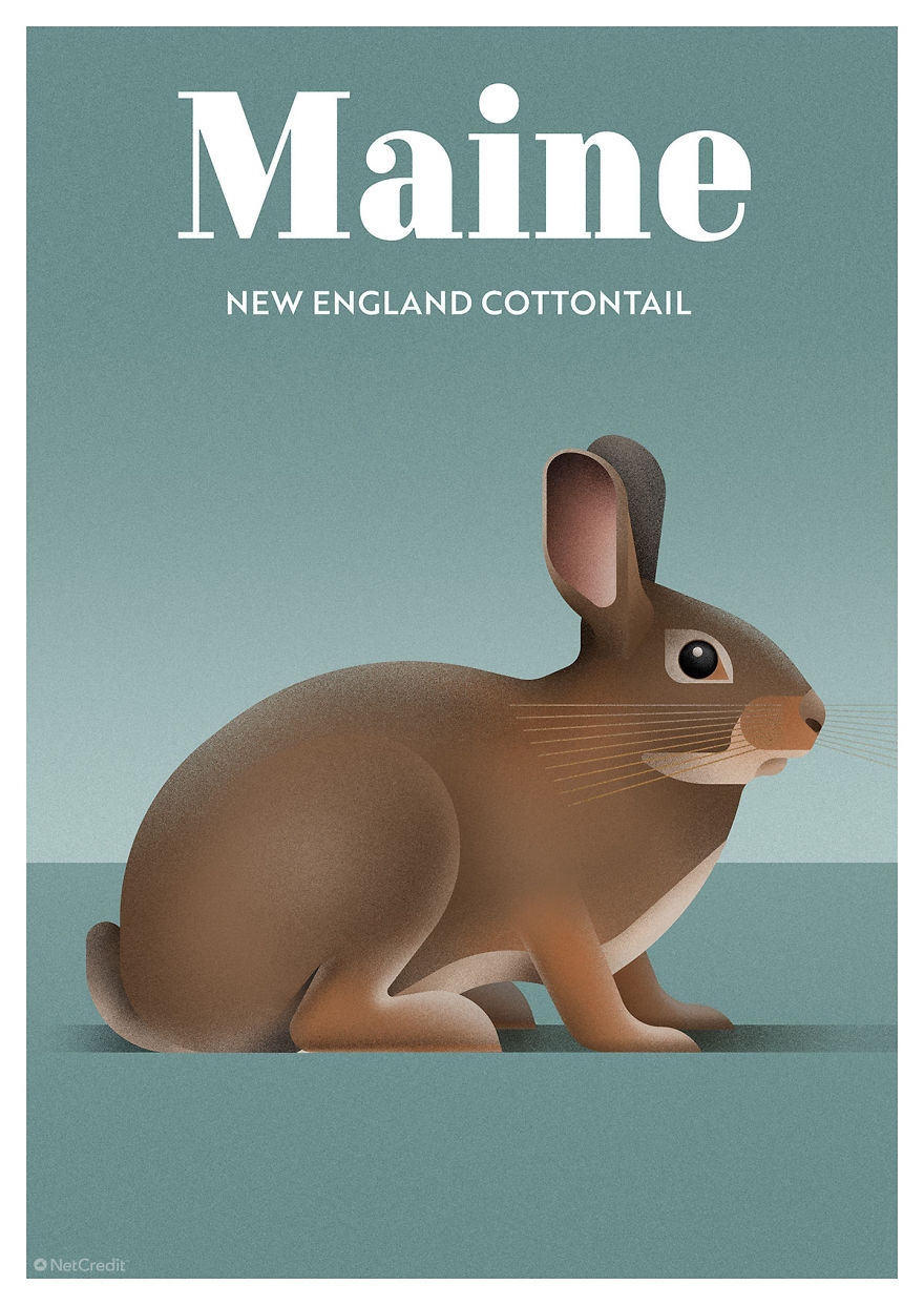 These Nature Posters Show The Most Endangered Species In Each US State These Nature Posters Show The Most Endangered Species In Each US State