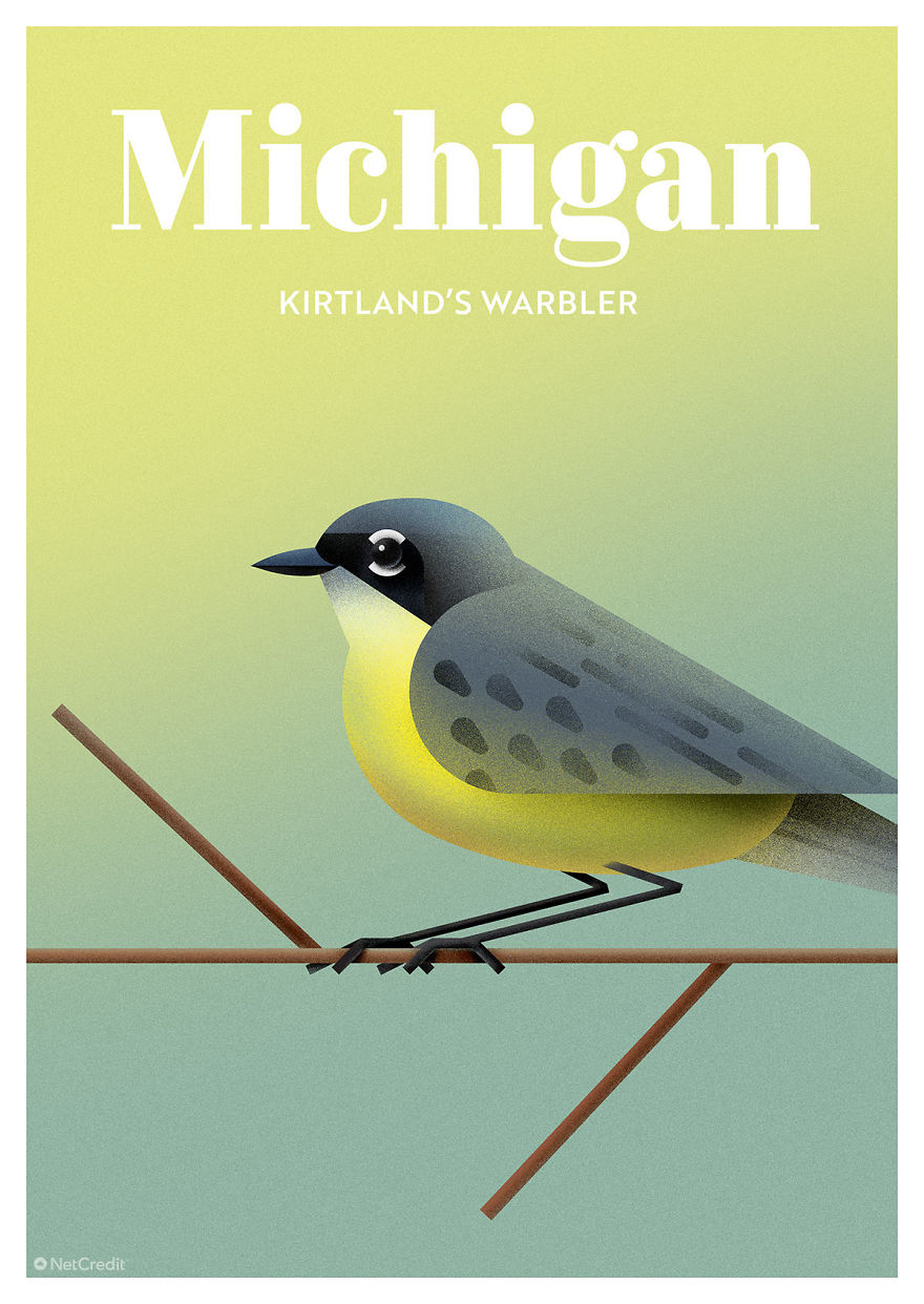 These Nature Posters Show The Most Endangered Species In Each US State These Nature Posters Show The Most Endangered Species In Each US State