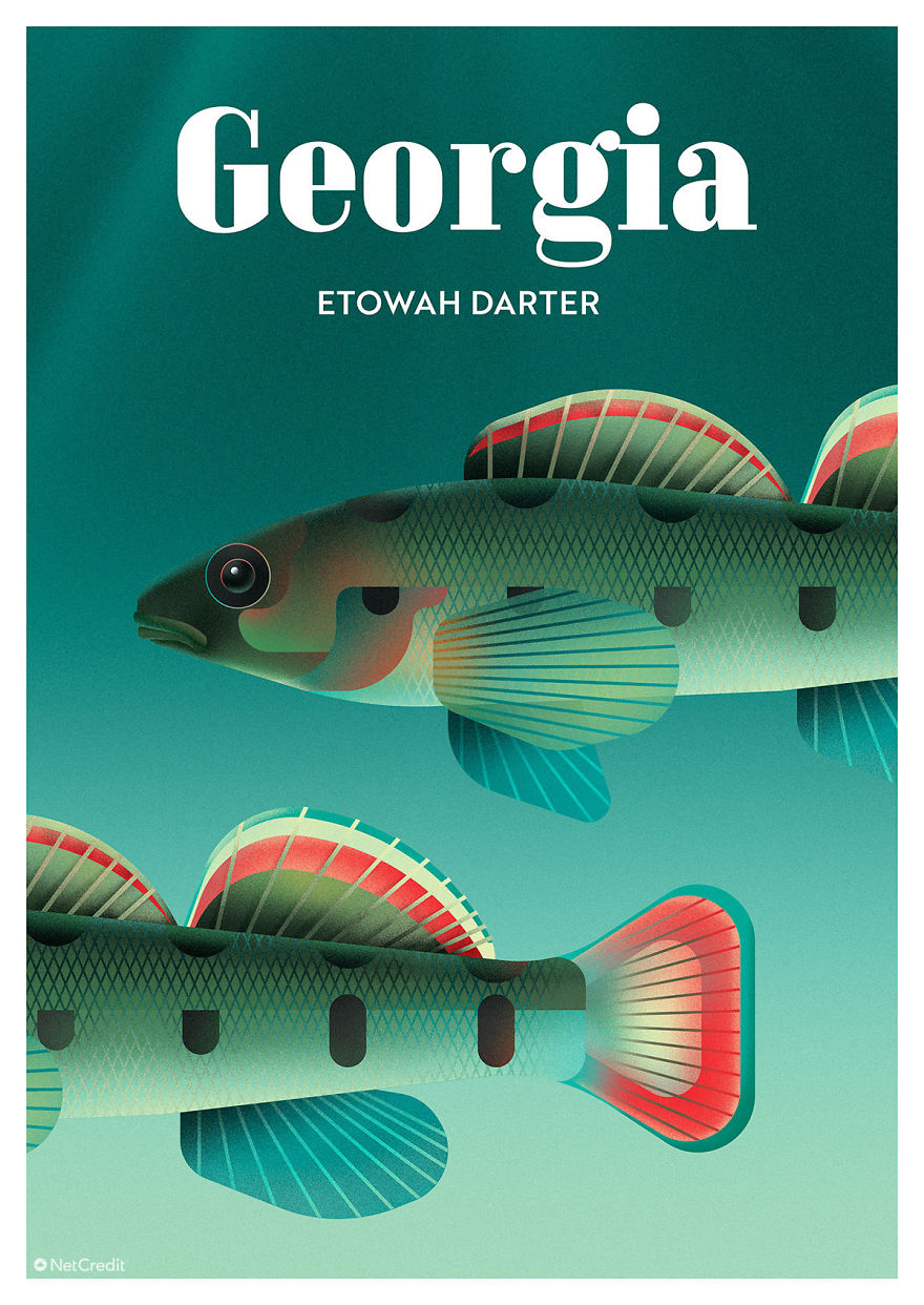 These Nature Posters Show The Most Endangered Species In Each US State These Nature Posters Show The Most Endangered Species In Each US State