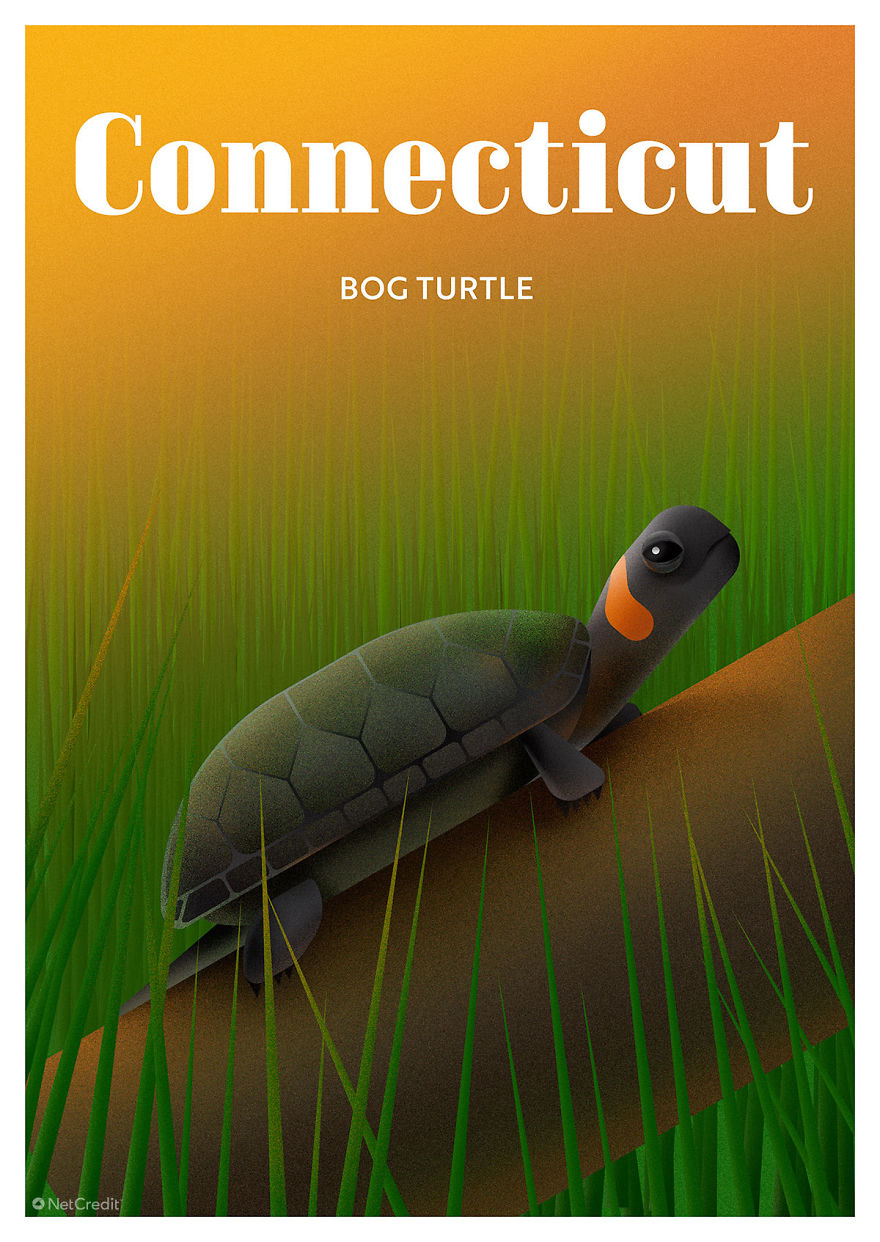 These Nature Posters Show The Most Endangered Species In Each US State These Nature Posters Show The Most Endangered Species In Each US State