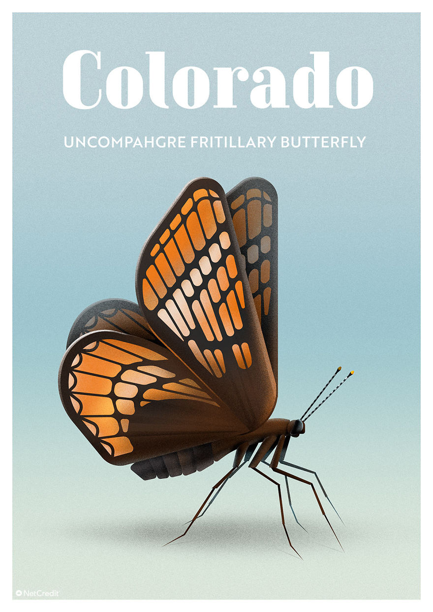 These Nature Posters Show The Most Endangered Species In Each US State These Nature Posters Show The Most Endangered Species In Each US State