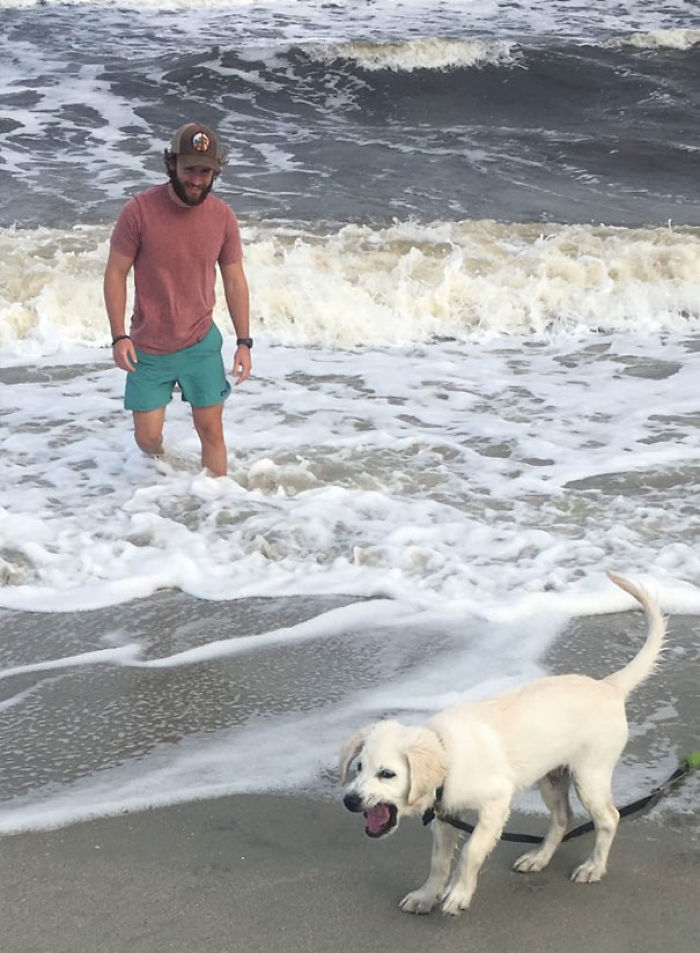 Funny Dogs Who Took Being Weird To A Whole Another Dimension Funny Dogs Who Took Being Weird To A Whole Another Dimension