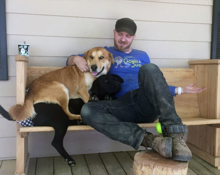 Funny Dogs Who Took Being Weird To A Whole Another Dimension Funny Dogs Who Took Being Weird To A Whole Another Dimension