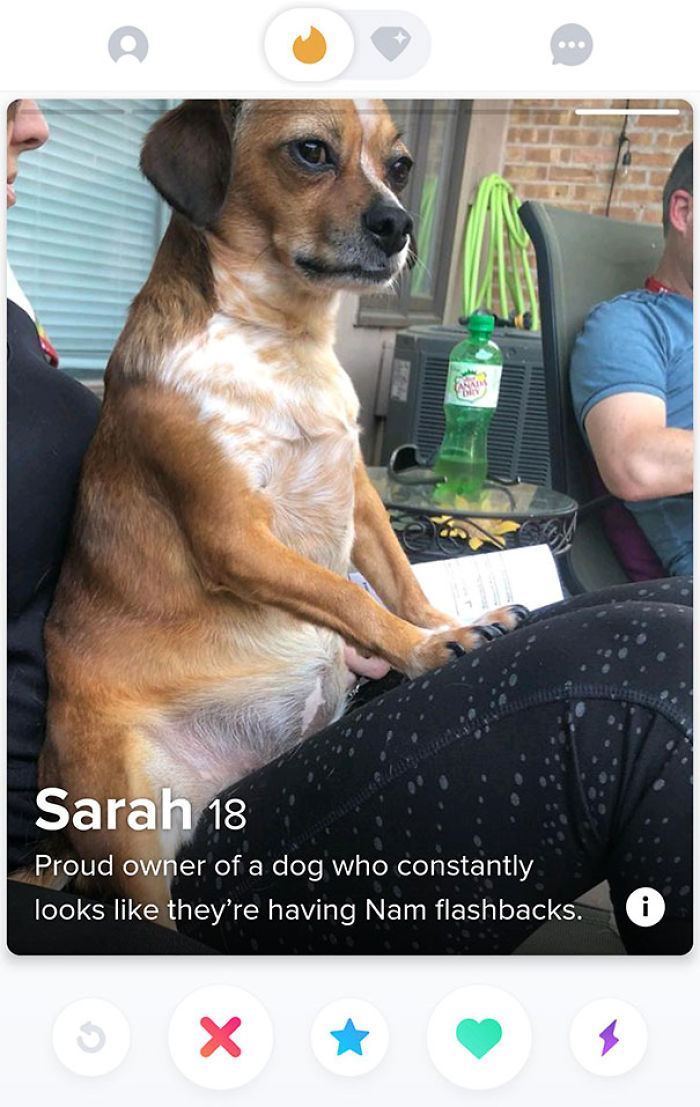 30 Of The Funniest Tinder Profiles (Yes, They’re Real)