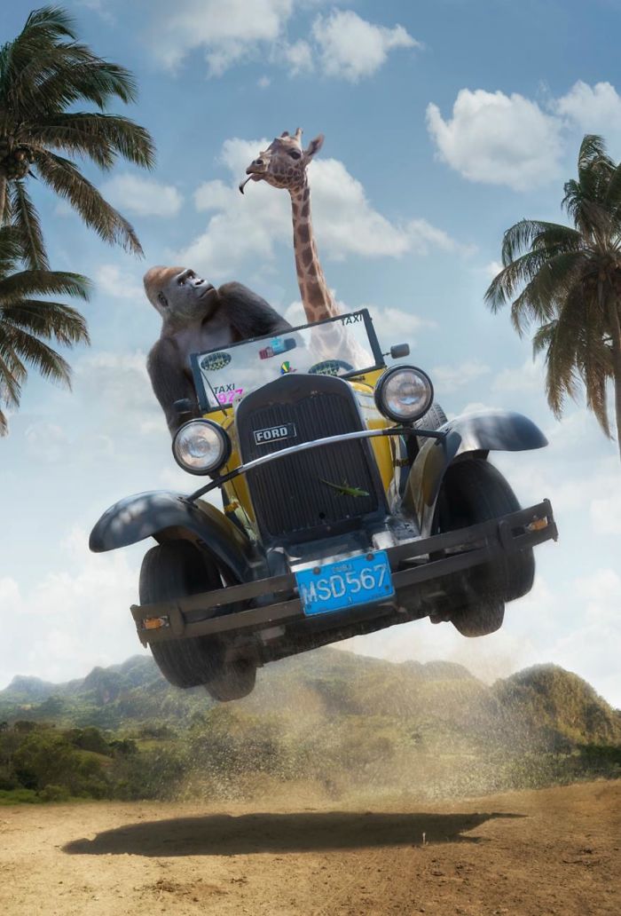 Artist Uses Digital Manipulation To Show How Animals Act When People Are Not Watching (30 Pics) Artist Uses Digital Manipulation To Show How Animals Act When People Are Not Watching (30 Pics)