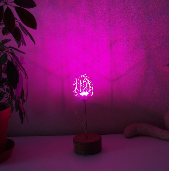 People Are Saying This Husband Just Won Valentine’s Day By Gifting His Wife A Mechanical Flower That Blooms When Touched People Are Saying This Husband Just Won Valentine’s Day By Gifting His Wife A Mechanical Flower That Blooms When Touched