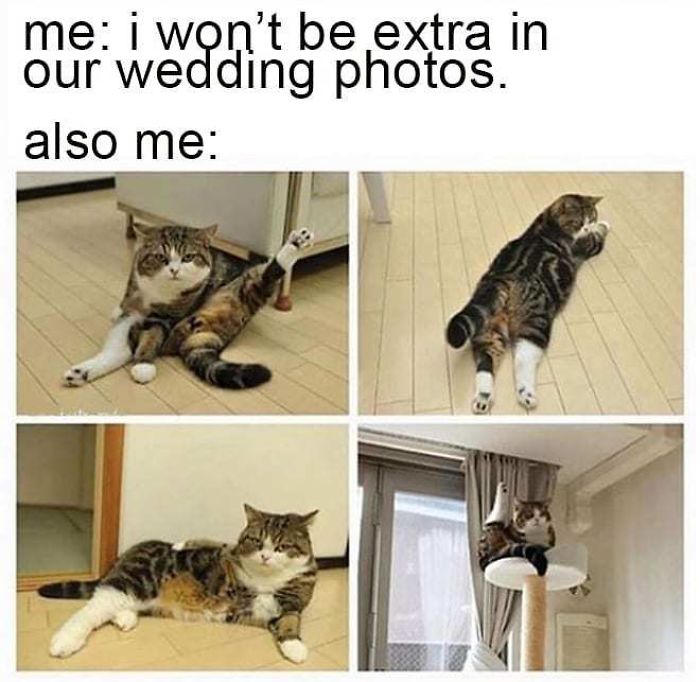 30 Hilarious Memes That Perfectly Sum Up Every Wedding 30 Hilarious Memes That Perfectly Sum Up Every Wedding