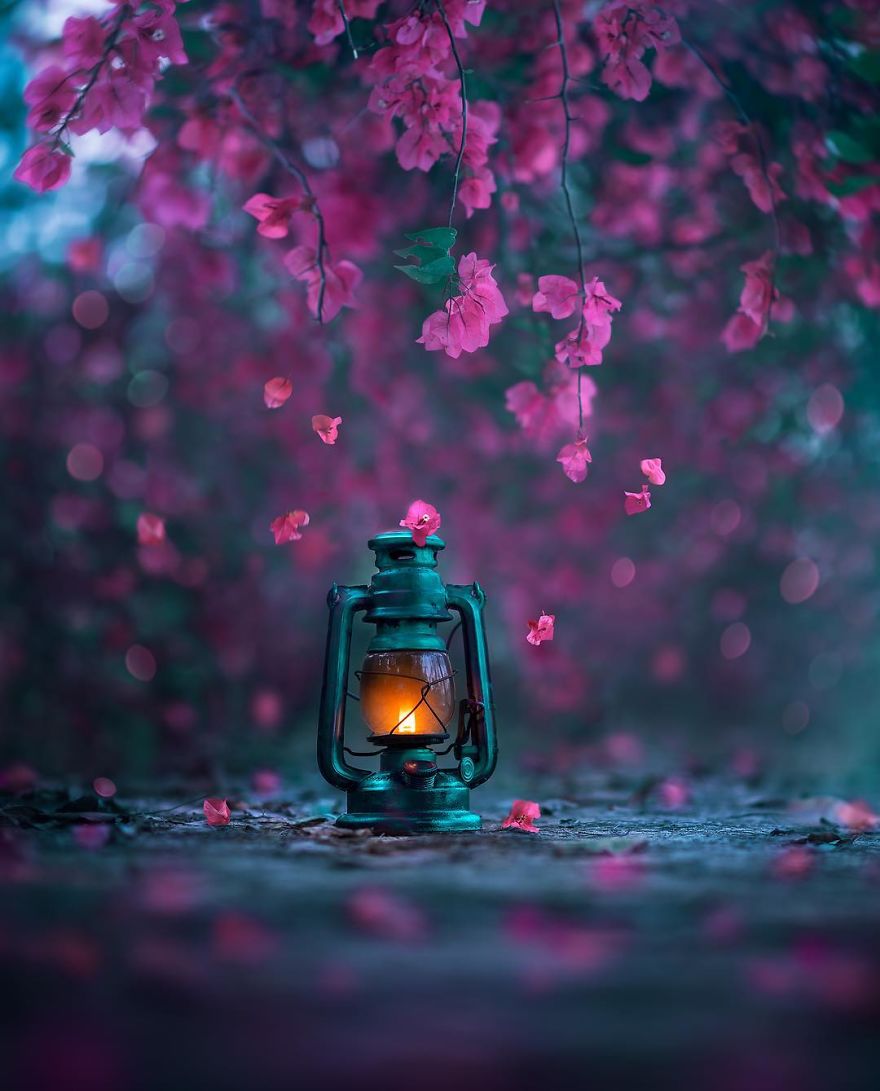 I Create Magical Images With My Old Lantern I Create Magical Images With My Old Lantern