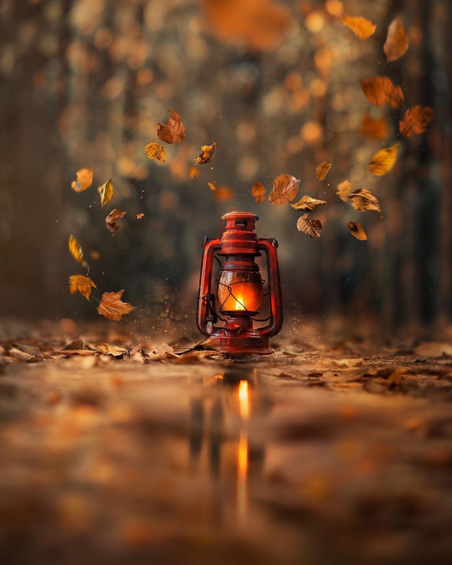 I Create Magical Images With My Old Lantern I Create Magical Images With My Old Lantern