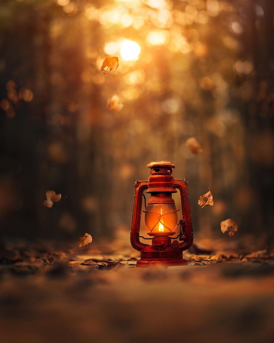I Create Magical Images With My Old Lantern I Create Magical Images With My Old Lantern