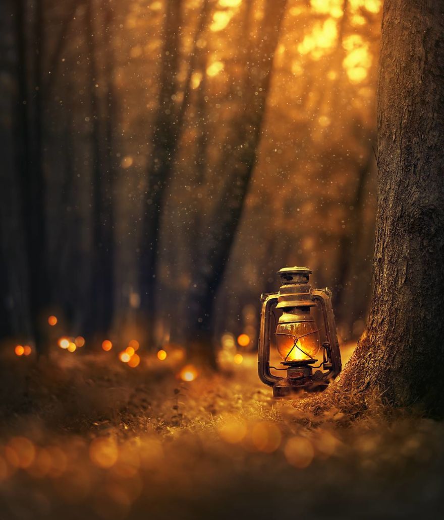 I Create Magical Images With My Old Lantern I Create Magical Images With My Old Lantern